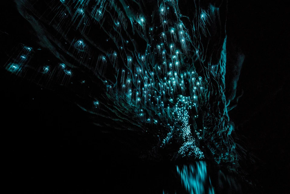 A dark cave interior illuminated by glowing blue bioluminescent lights on the ceiling, reflecting on the water below.
