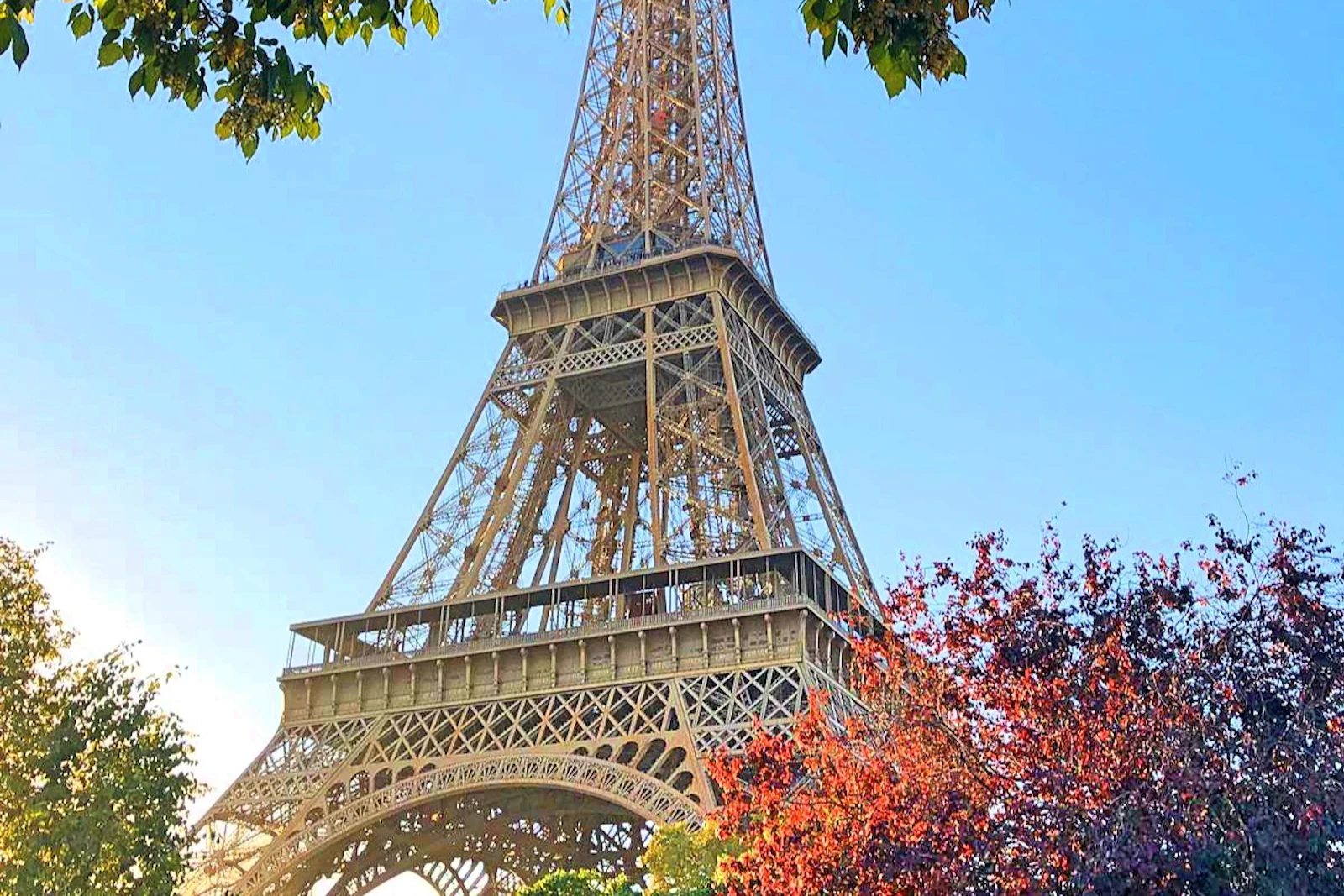Eiffel Tower 2nd Floor & Summit Option + Seine River Cruise