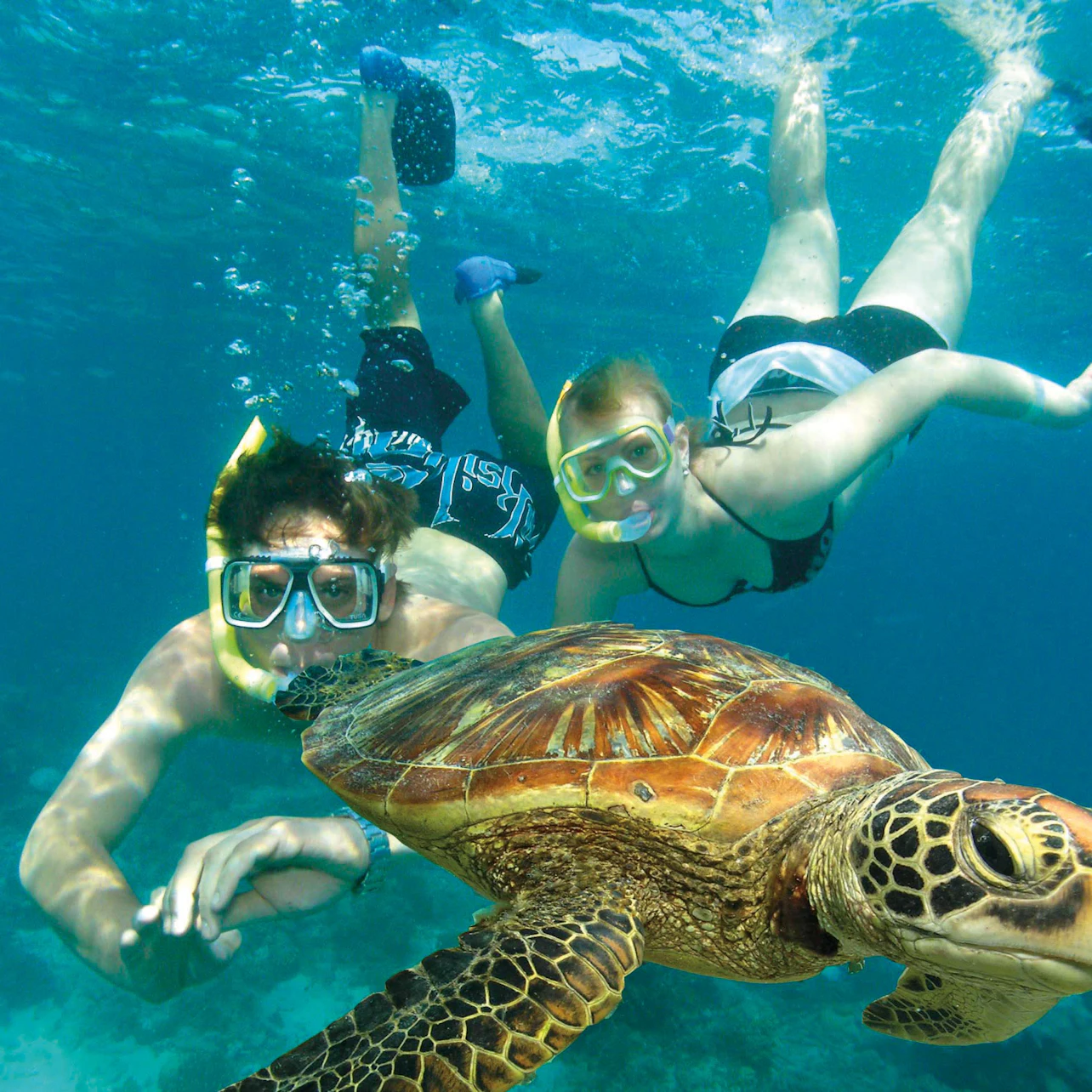 Two snorkelers in clear blue water swim near a sea turtle. Both wear masks and snorkels, and the turtle is close to the camera.