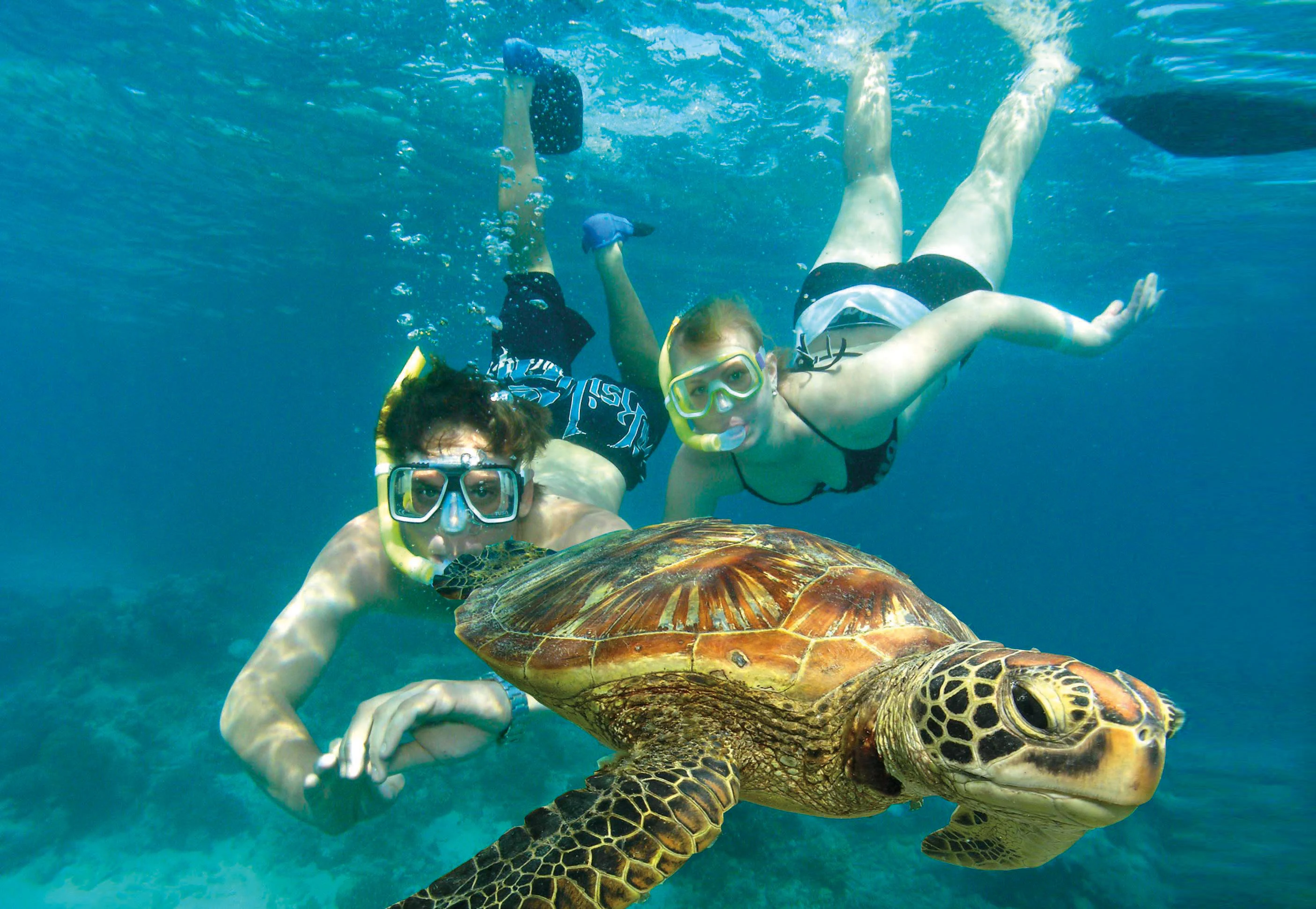 Green Island Eco Adventure Tour: Catamaran Cruise from Cairns