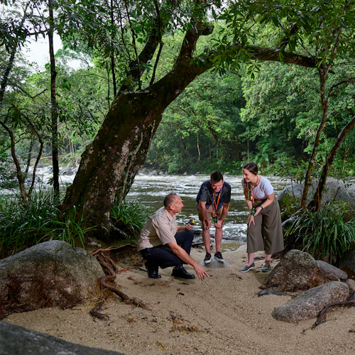 Cape Tribulation, Daintree e Mossman: excursão a partir de Cairns e Port Douglas - Photo 3