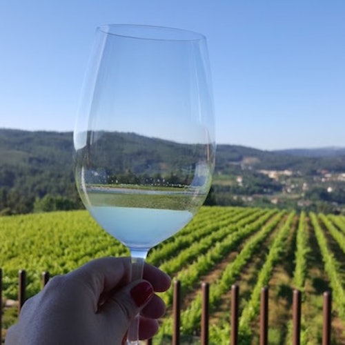 Región de Vinho Verde: Tour en grupo pequeño desde Oporto con comida