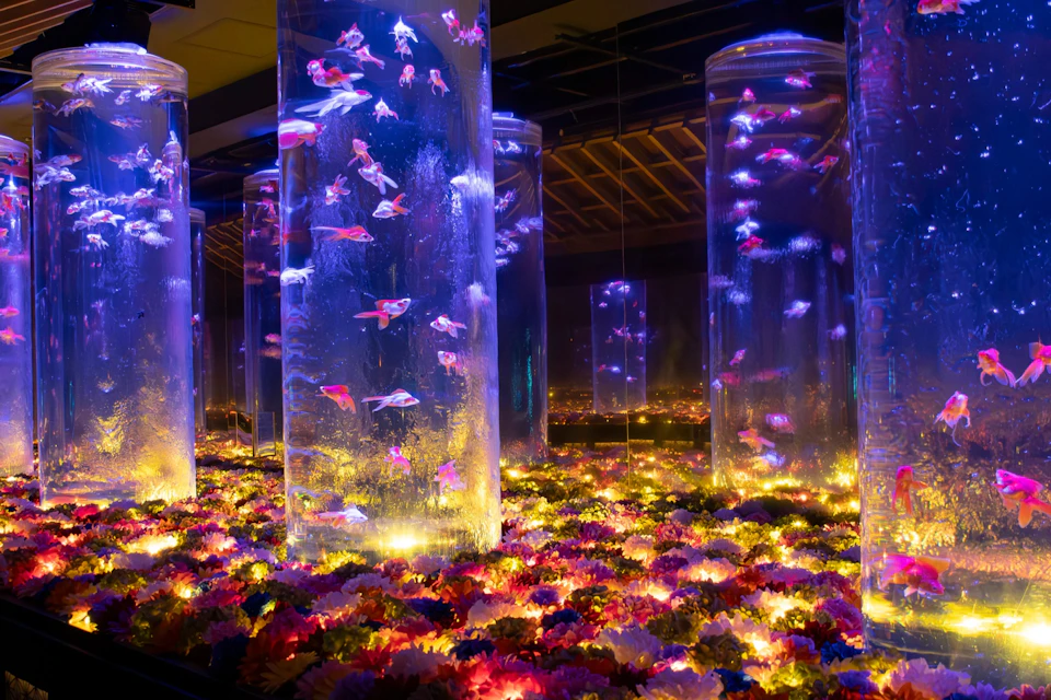 Illuminated aquarium tanks with colorful fish surrounded by vibrant flowers under dramatic lighting.