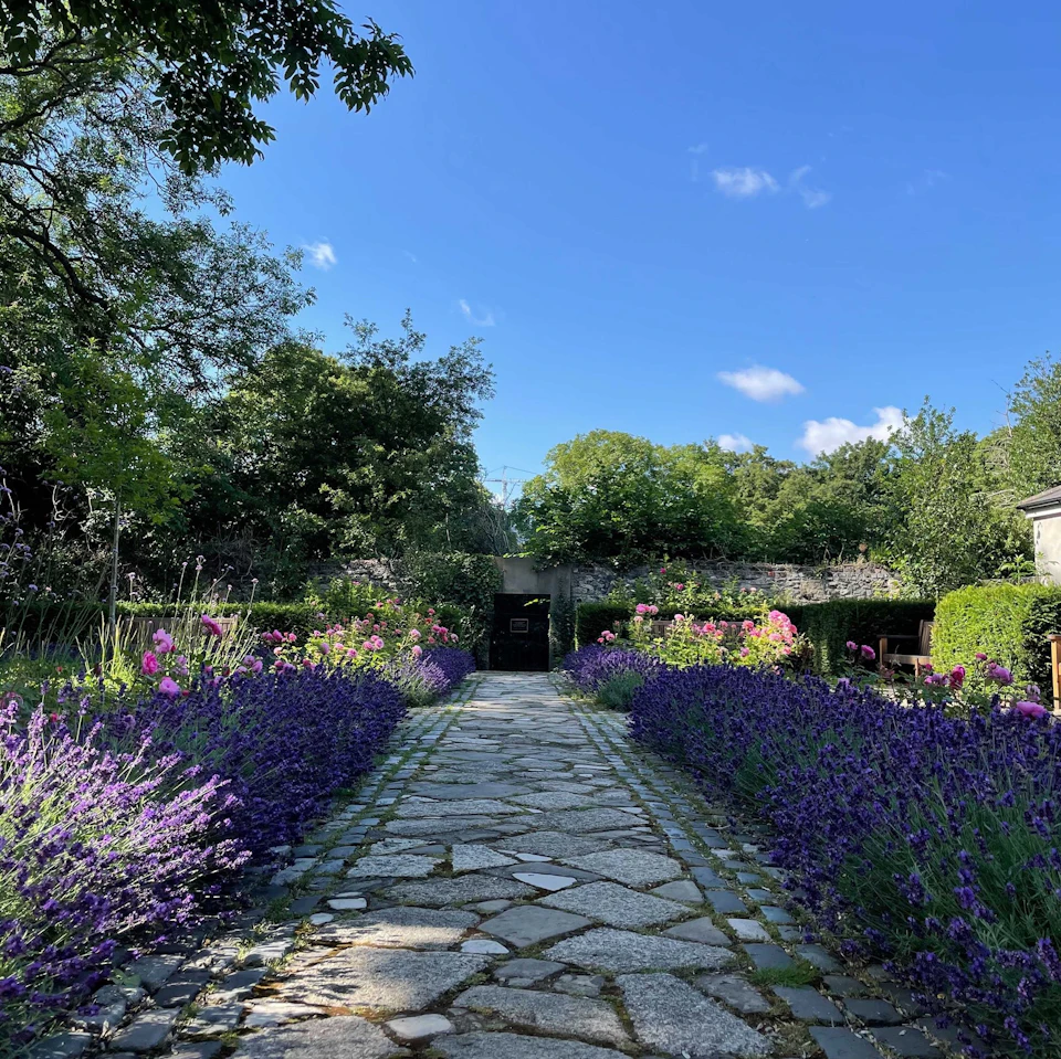 Readers Garden, MoLI