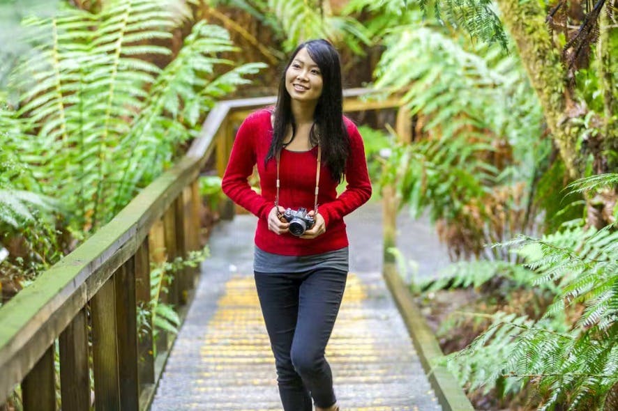 Otway Fly Treetop Adventures: Treetop Walk in Weeaproinah – Tiqets