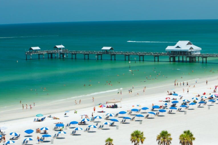 Clearwater: Passeio de barco com encontro de golfinhos + almoço - Acomodações em Orlando