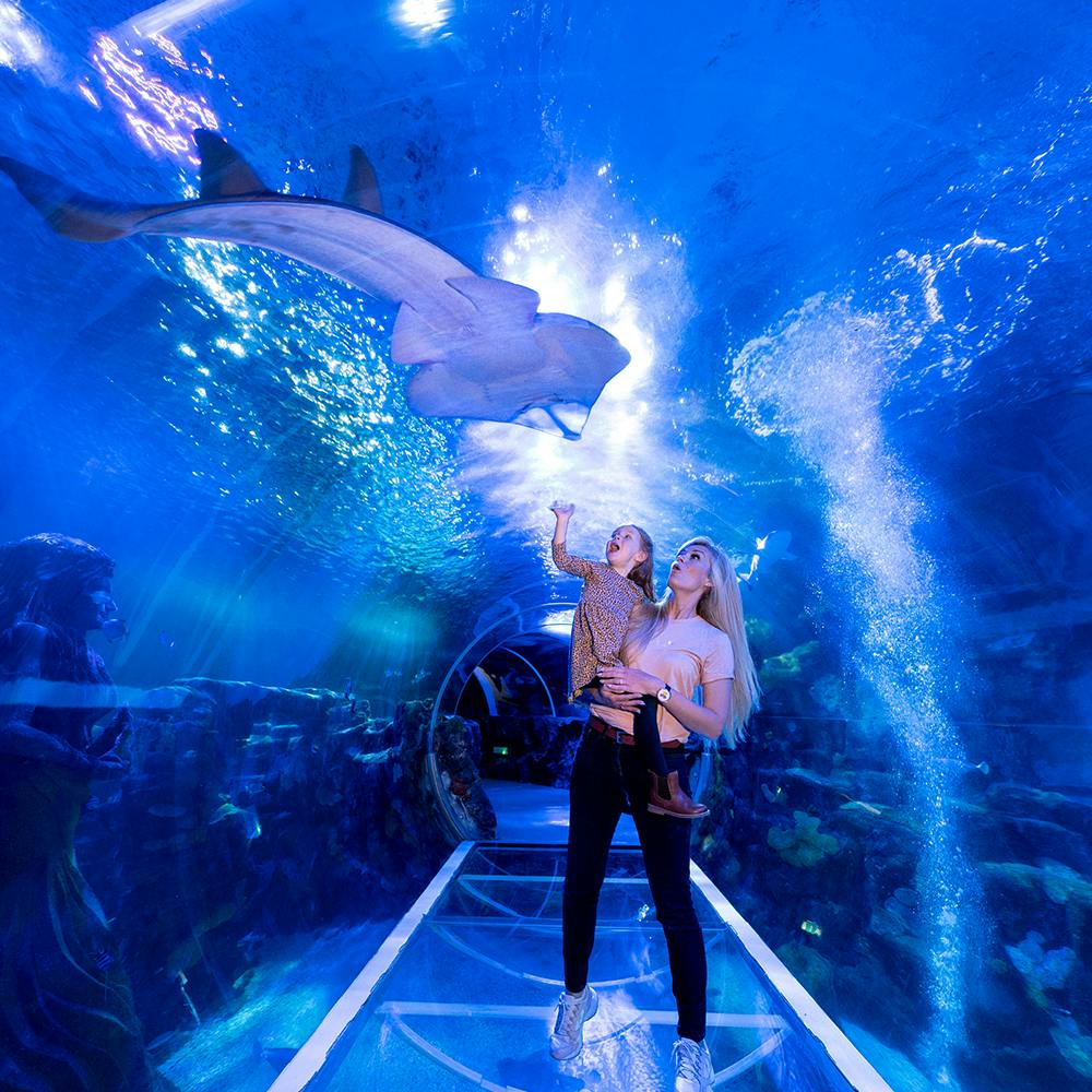 Two women in an underwater tunnel observe a large stingray swimming overhead. The scene is illuminated by bluish aquarium lighting.
