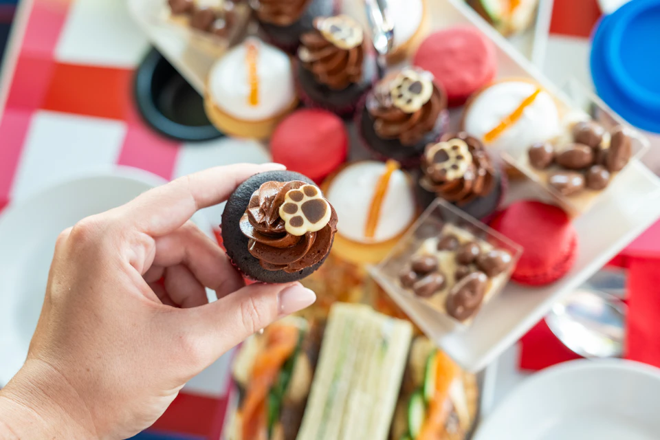 A hand holding a small chocolate cupcake with a paw-shaped decoration, with assorted desserts and sandwiches in the background.