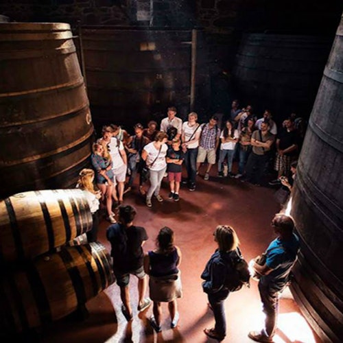 Tour Image