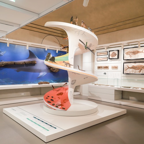 Kosmos Museo di Storia naturale di Pavia