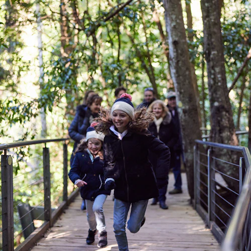 Blue Mountains & Sydney Zoo: Small-Group Guided Tour from Sydney - Photo 10