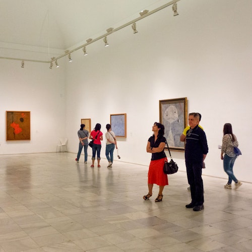 Museo Reina Sofía: Entrada sin colas + Tour guiado