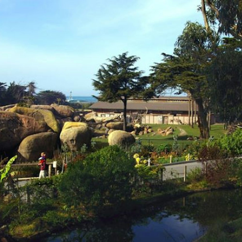 גן החיות של סן פרנסיסקו