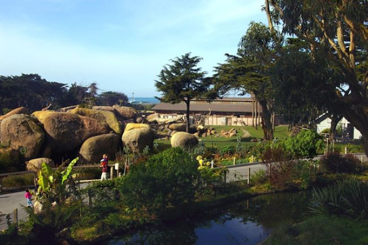 Zoológico de São Francisco: Ingresso - Acomodações em São Francisco