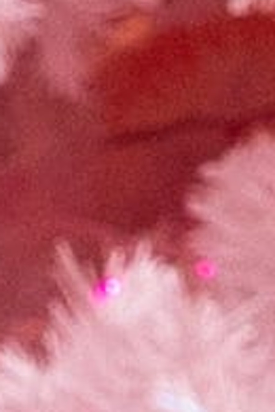 Ingressos Museum of Ice Cream em Nova York Hellotickets