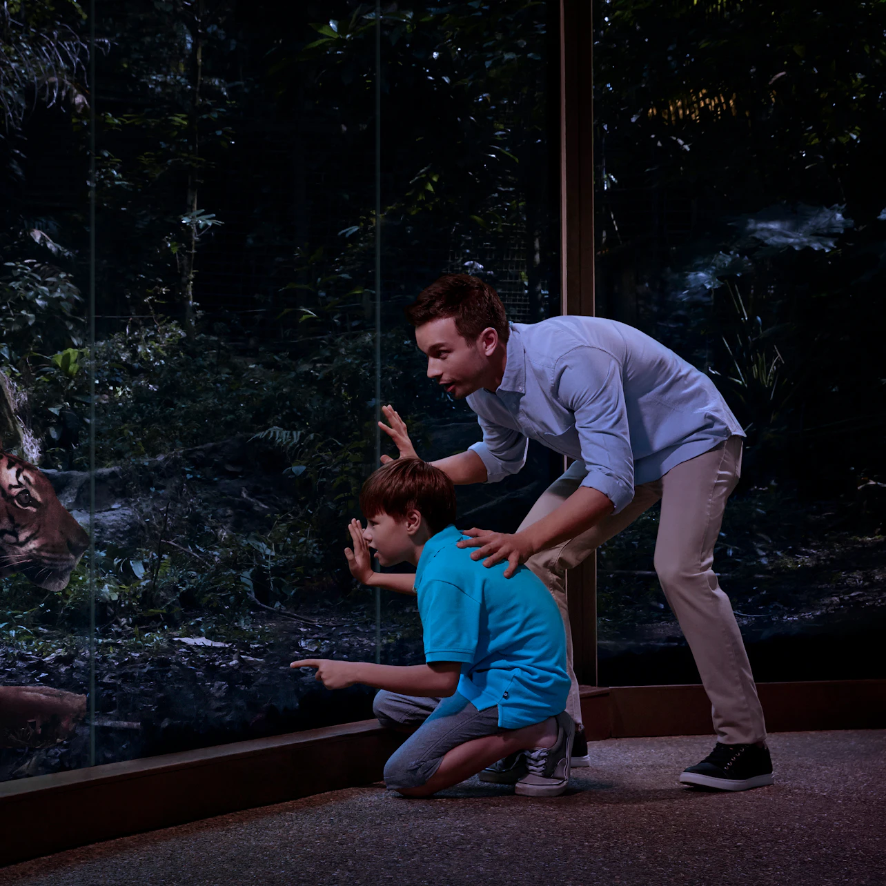 Singapore Night Safari with Tram Ride in Singapore β Tiqets