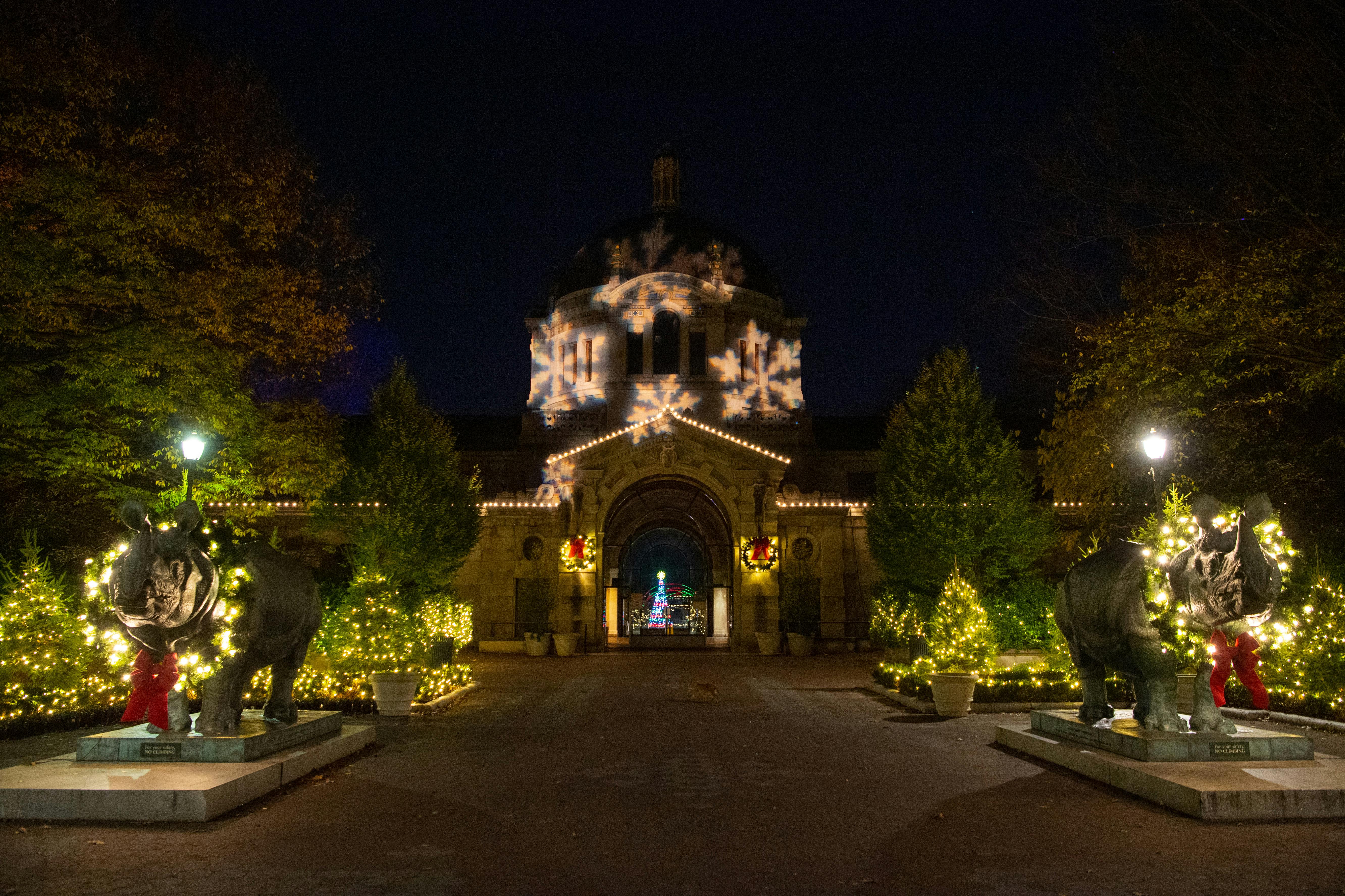一栋华丽的建筑，装饰着雪花灯，夜晚周围环绕着明亮的树木。