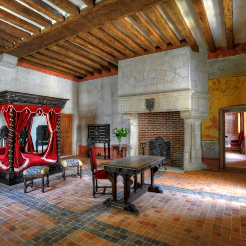 Château d’Amboise + Château du Clos Lucé + Château de Chenonceau - Photo 13