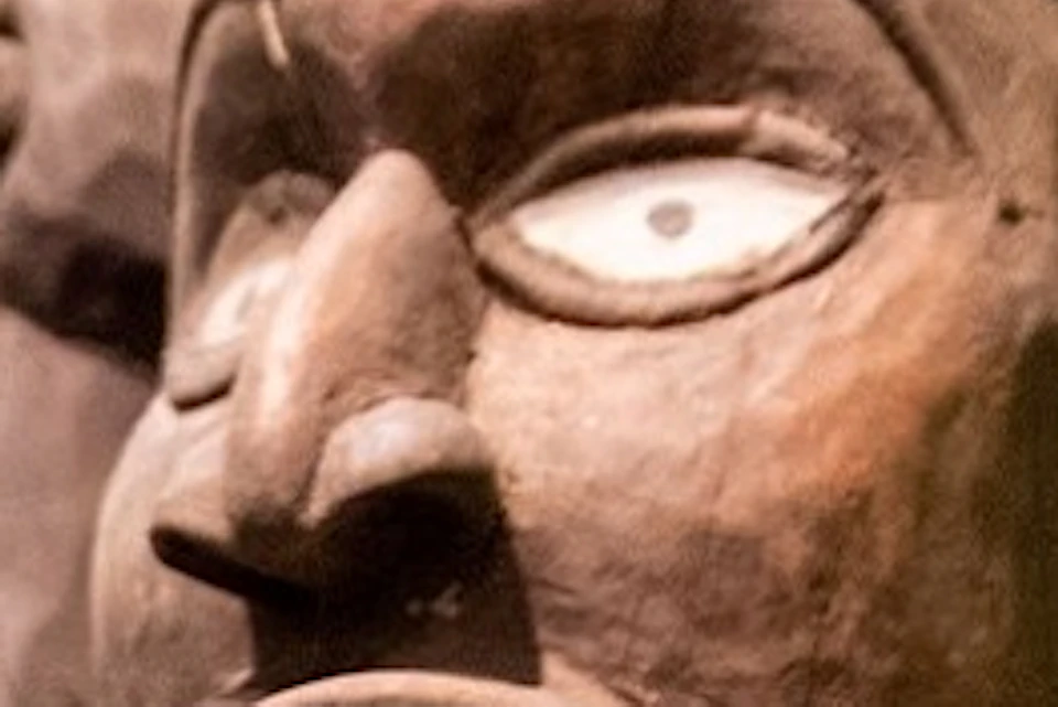 Ripley's Believe It or Not! St. Augustine
