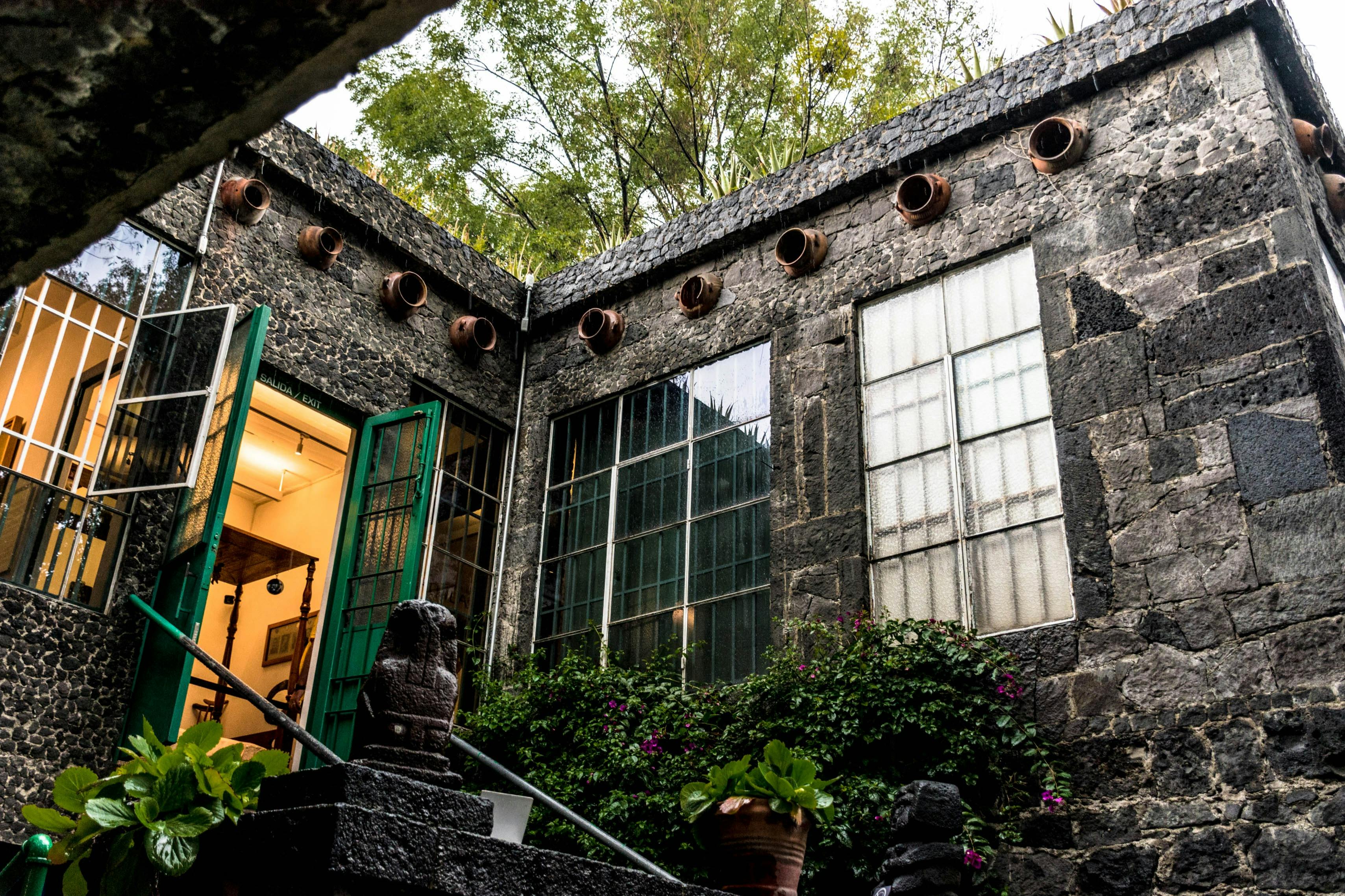 Museo Frida Kahlo e Coyoacán: Tour guidato — 6