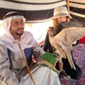 Viejo halcón de Dubai