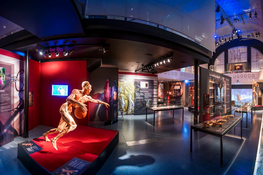 Boletos para la exhibición Body Worlds en Heidelberg