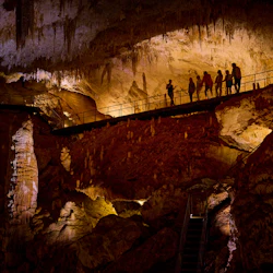 Things to do in Deepdene, Western Australia