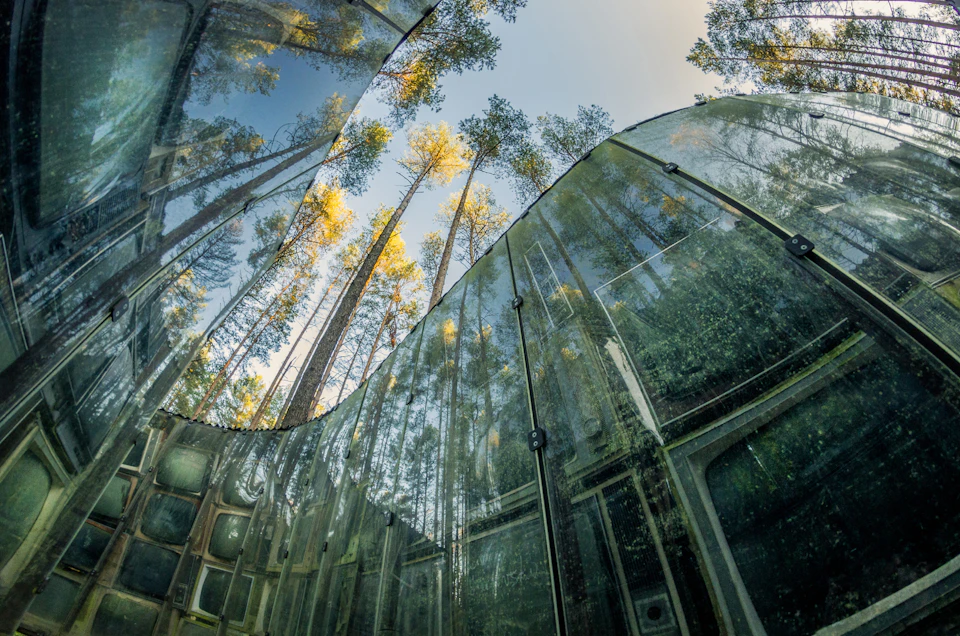 Tall trees reflected in the curved glass walls of a modern building, emphasizing a seamless blend of nature and architecture.