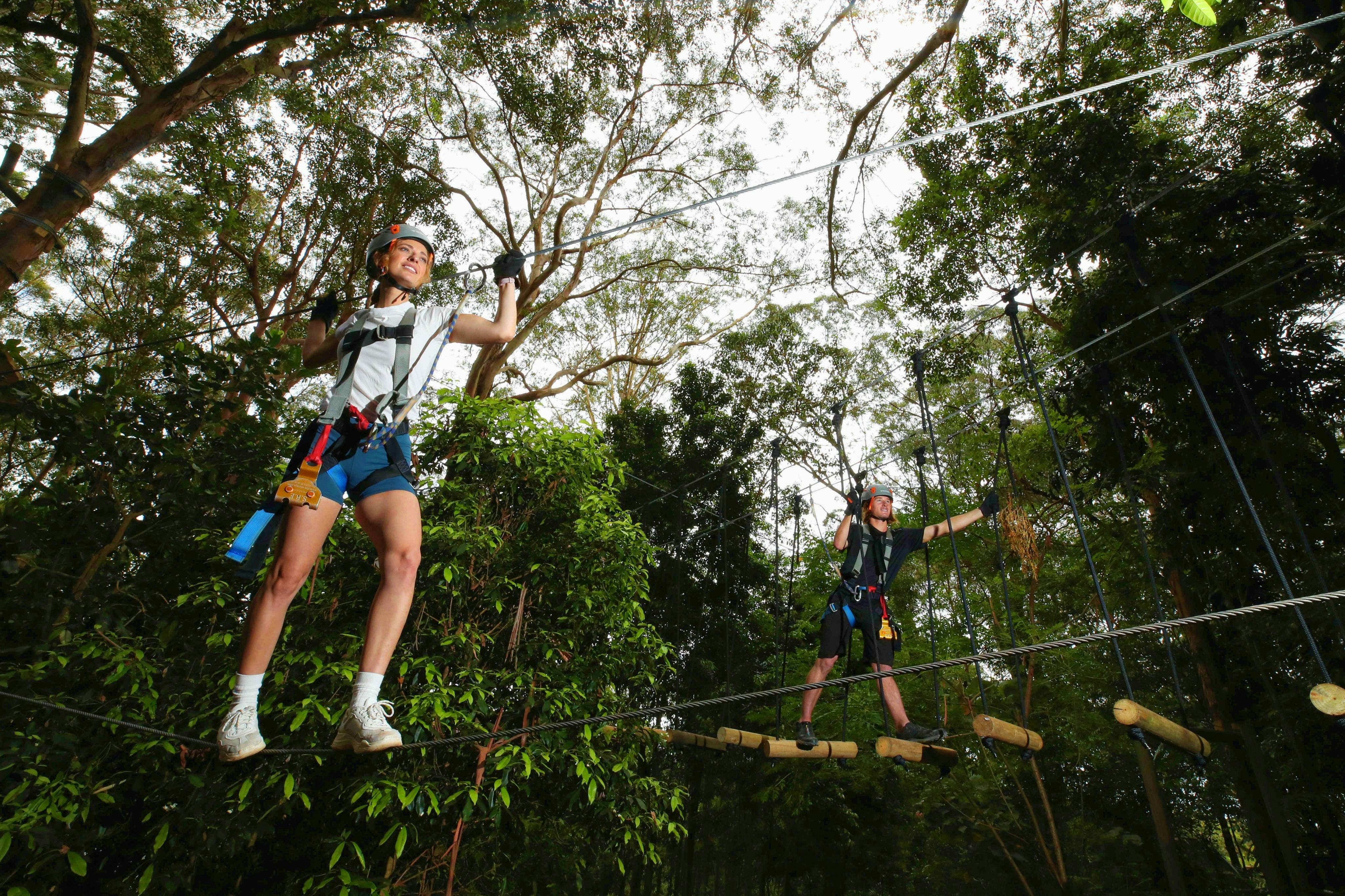 Two people wearing safety gear navigate a ropes course in a forested area. The trees and greenery are visible in the background.