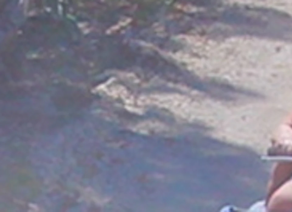 Three people riding ATVs on a dusty forest trail, wearing helmets and protective gear. Trees and vegetation line the path.