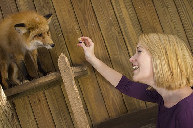 Una mujer de pelo rubio y camisa morada sonríe mientras coloca un pequeño objeto en una grieta de una pared de madera.
