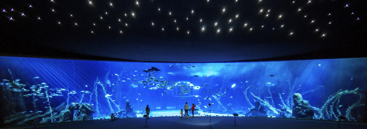 Poema del Mar - Aquarium Gran Canaria: Skip The Line - Accommodations in Las Palmas de Gran Canaria
