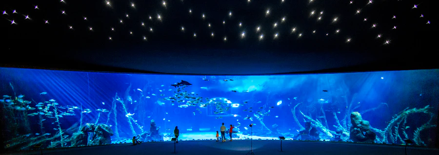 Gran Canaria Poema del Mar Aquarium Tickets