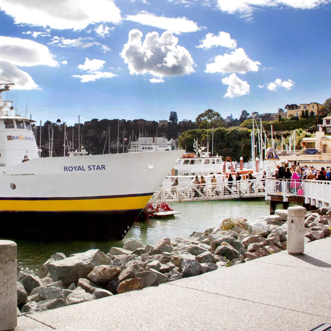 San Francisco to Sausalito Ferry in San Francisco β Tiqets