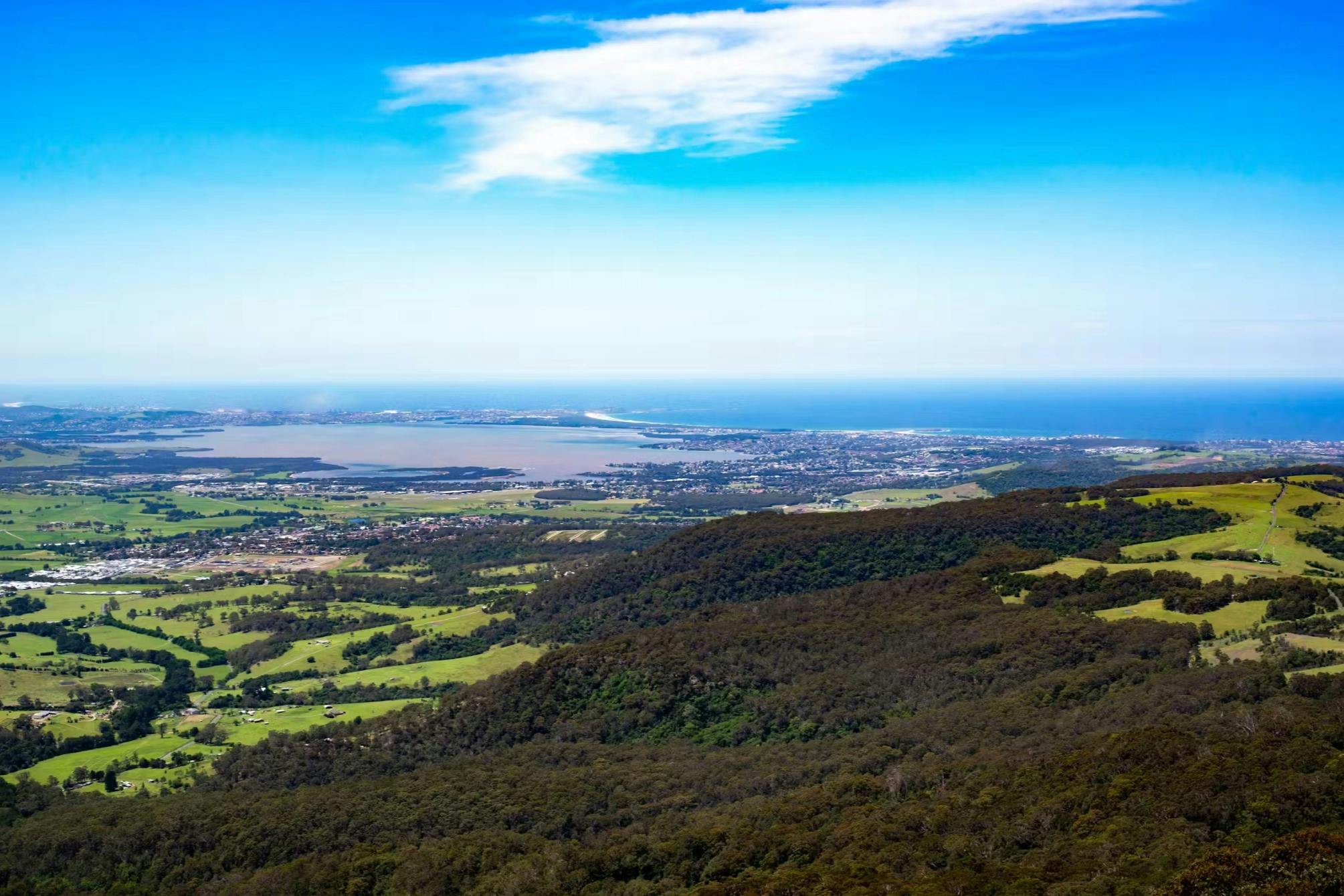 Illawarra Fly Treetop Adventures: Treetop Walk in Knights Hill – Tiqets