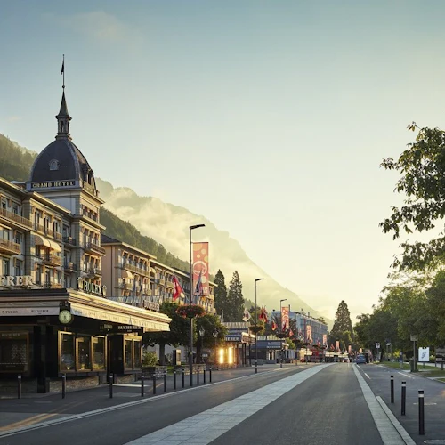 Grindelwald, Interlaken & Lauterbrunnen: Day Trip + Transport - Photo 9