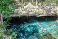 Swimming in butterfly cenote