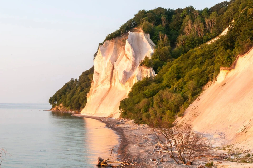 A rocky shore with white cliffs and green vegetation at sunset, reflecting warm light on the water.