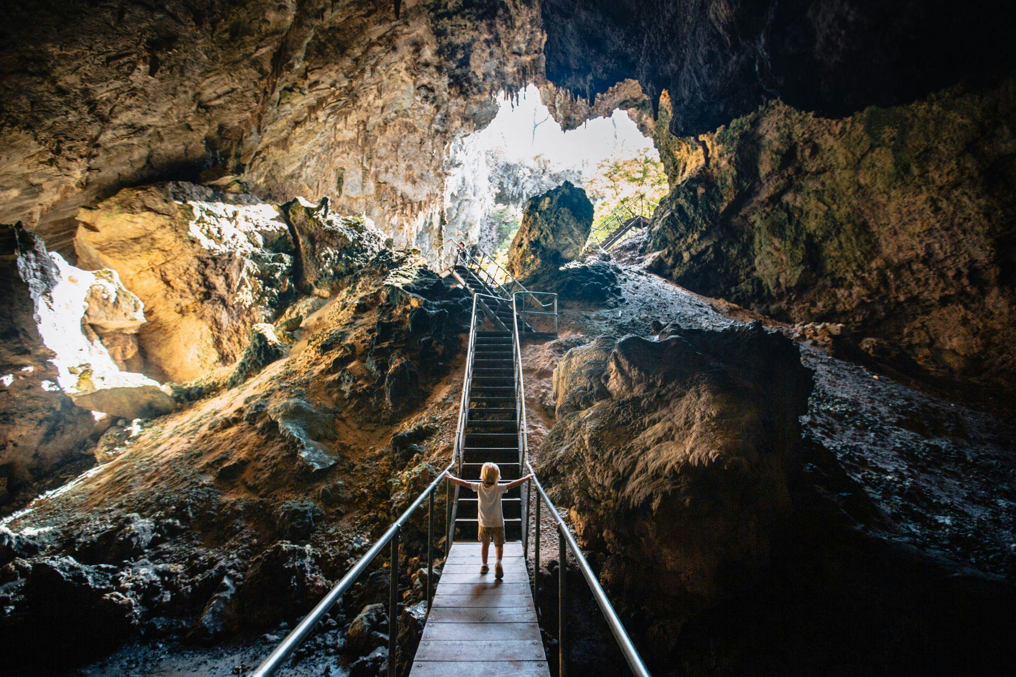 Grotte du Mammouth: Billets et visites guidées