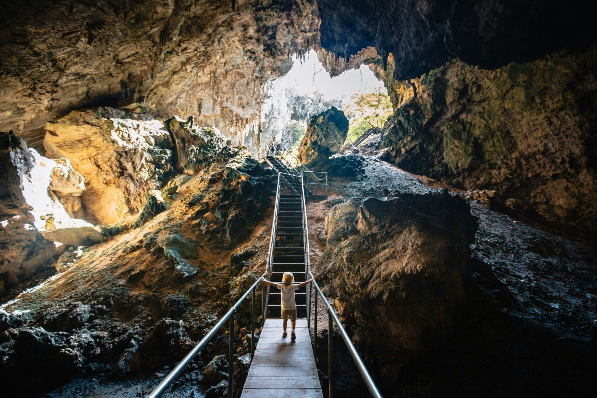 se permiten perros en la cueva del mamut