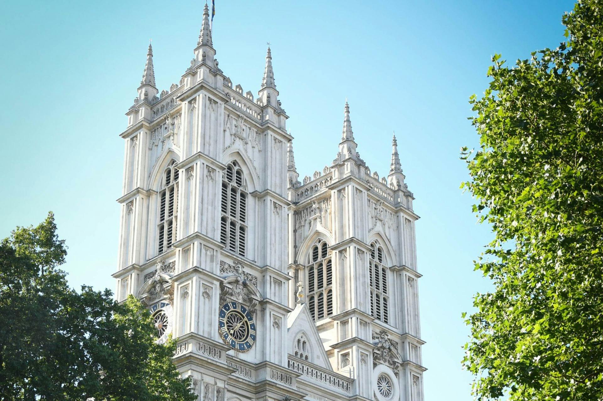 London: Westminster Private Walking Tour + Changing of the Guard + Hotel Pickup - Photo 8