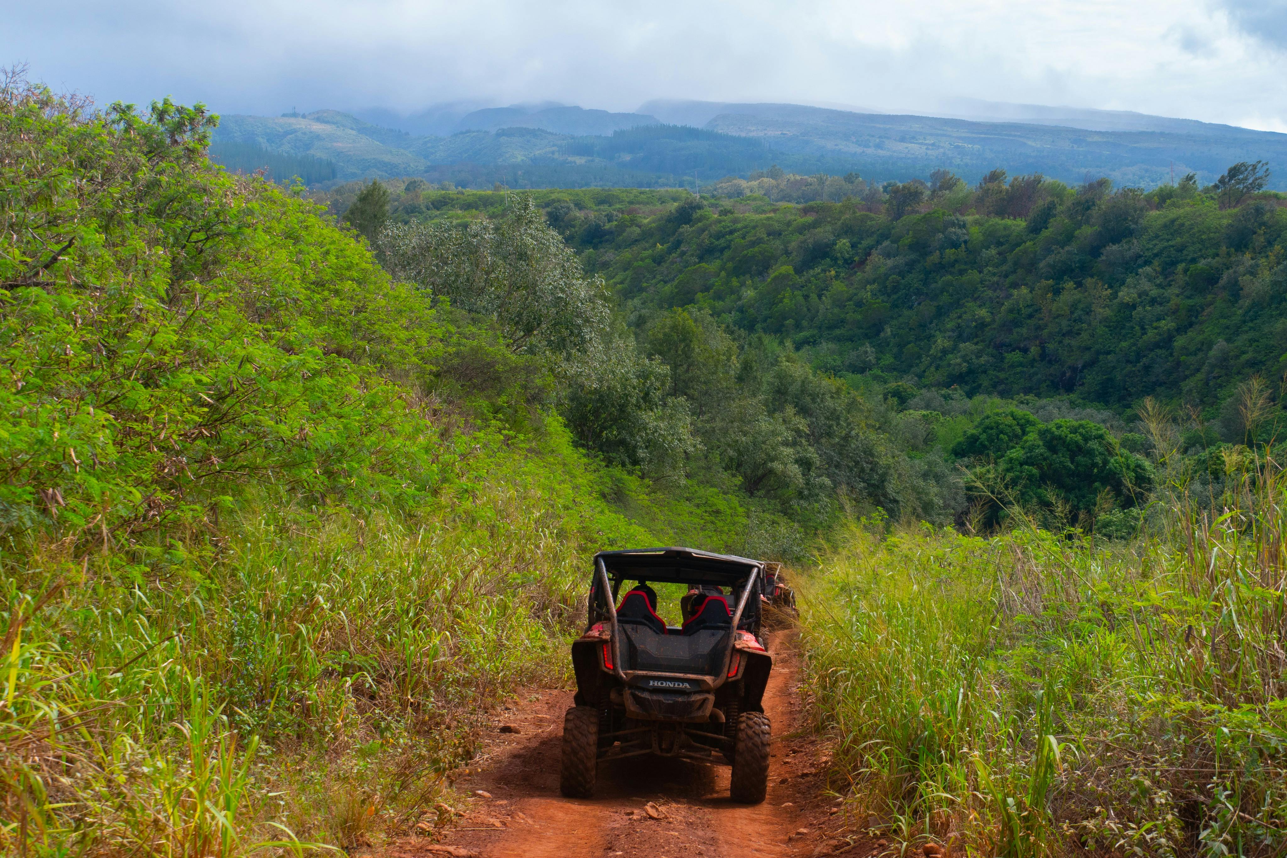 Lahaina: Aventura de quadriciclo - Photo 3
