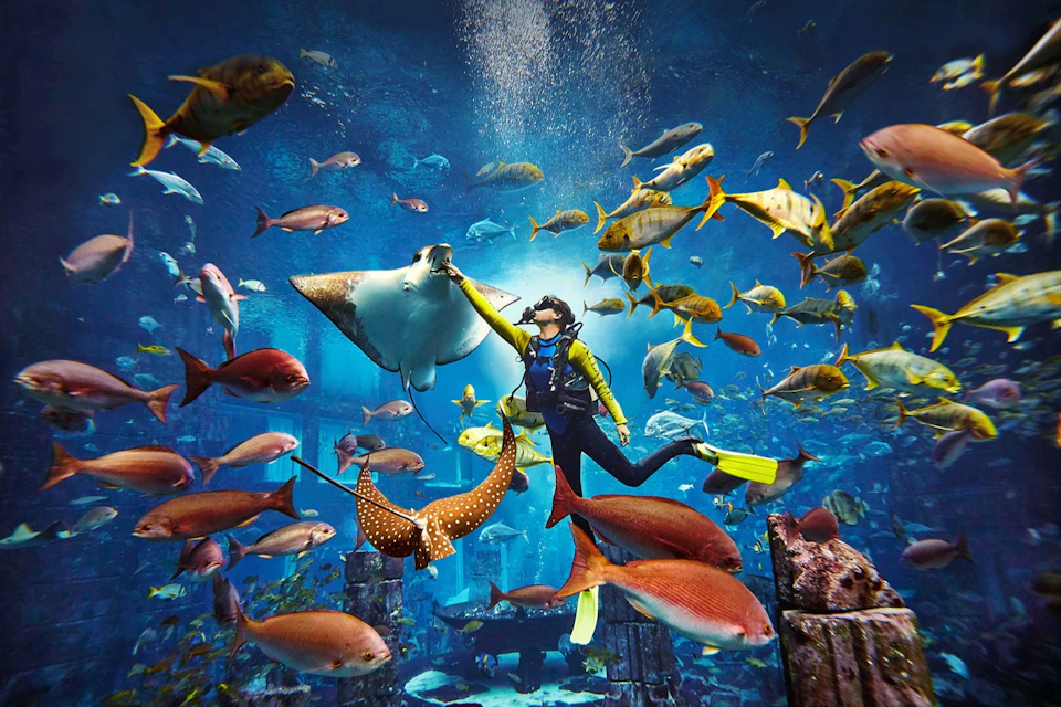 Atlantis The Palm - Ambassador Lagoon