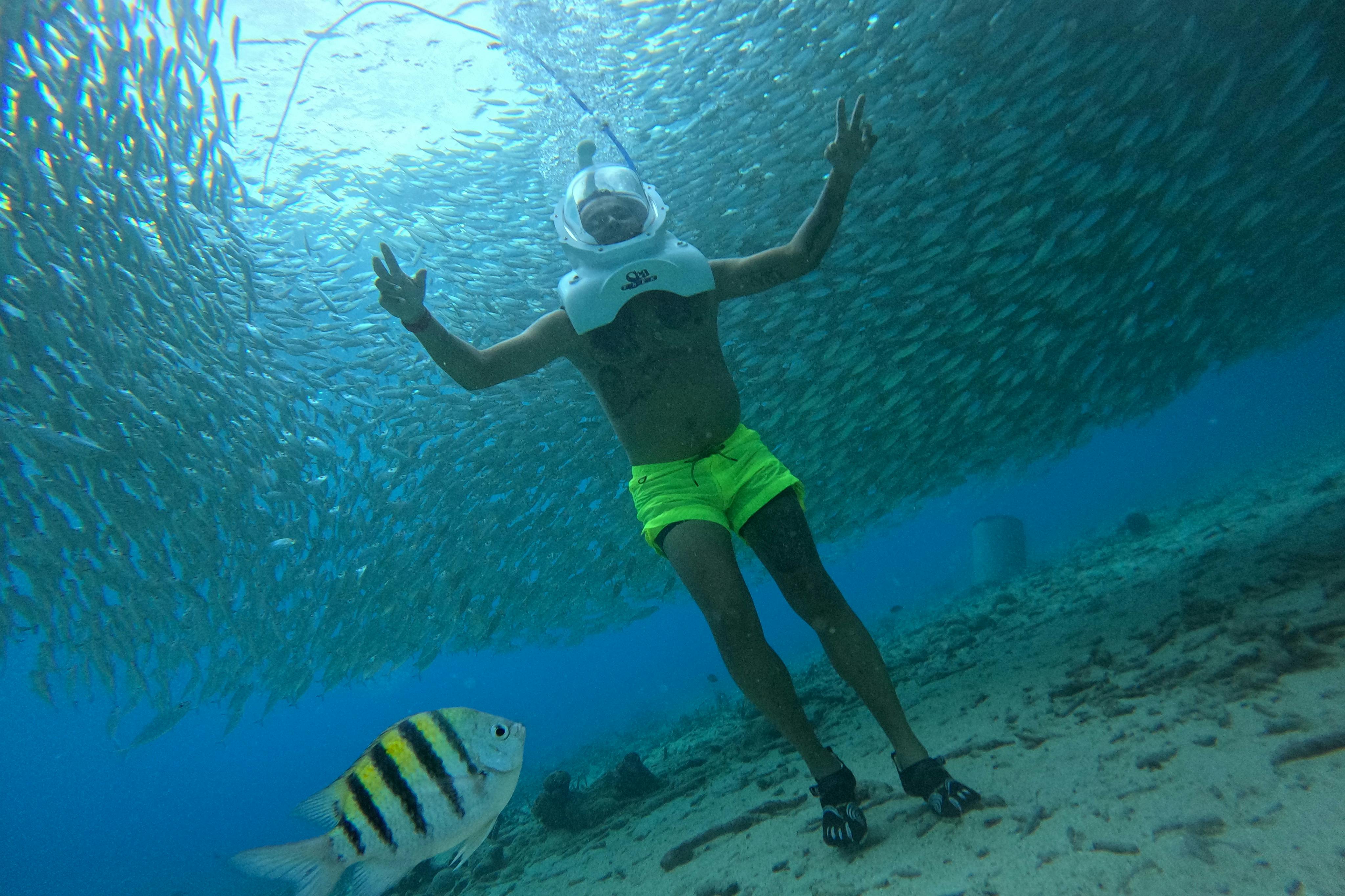 Person in a helmet and yellow shorts underwater, surrounded by a school of fish, with a sergeant major fish in the foreground.
