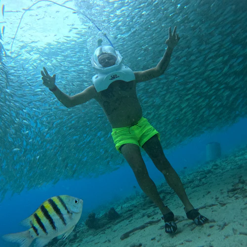 Tenerife: Guided Underwater Walking Experience - Photo 2