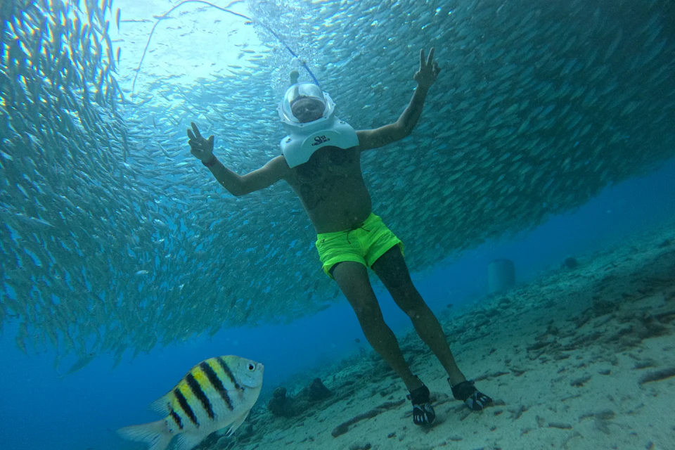 Person in a helmet and yellow shorts underwater, surrounded by a school of fish, with a sergeant major fish in the foreground.