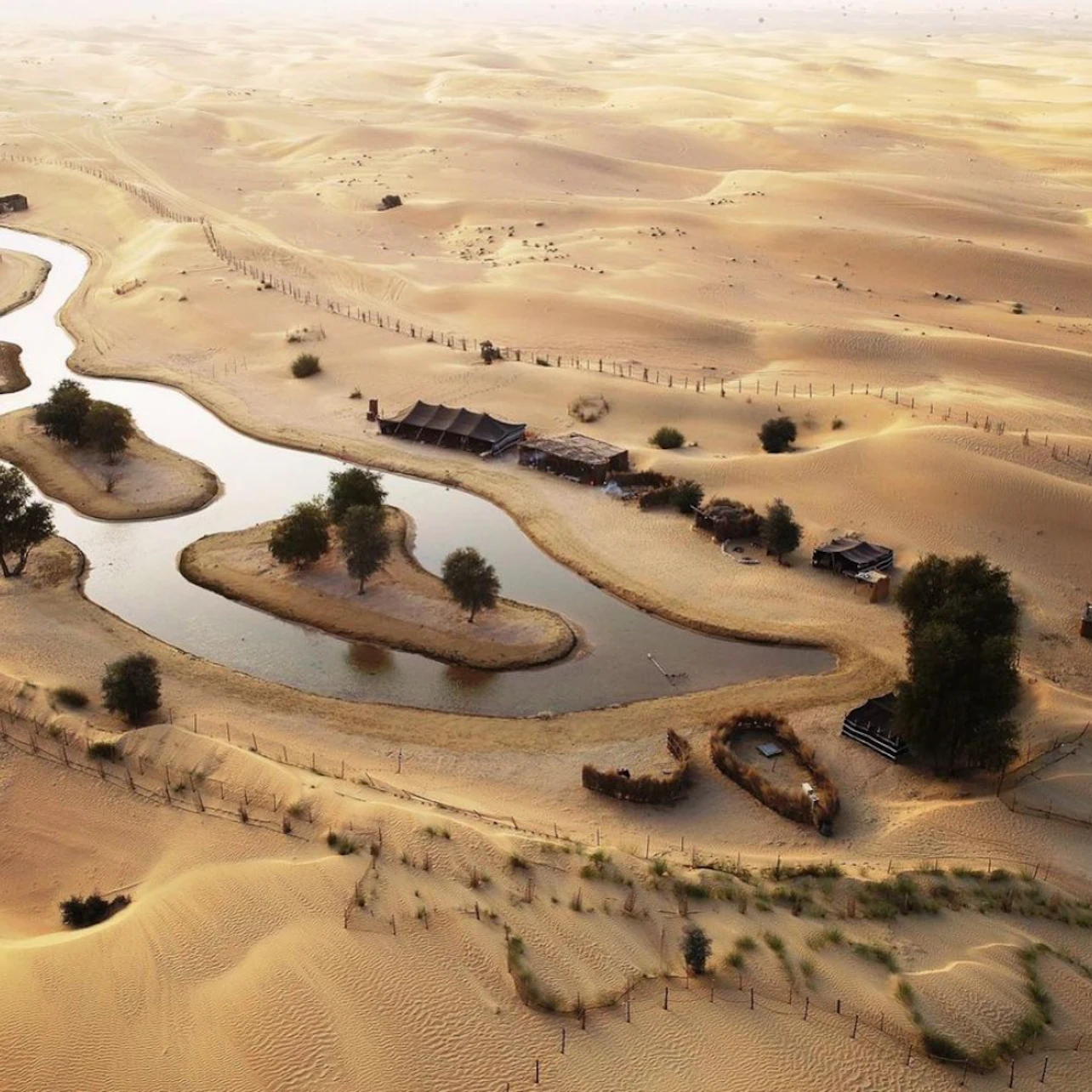 Morning Heritage Safari: Vintage G-Class Ride with Breakfast at Al Marmoom Camp 2