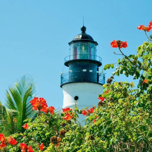 Key West: Day Trip from Miami + Optional Conch Train or Glass-Bottom Boat Tour - Photo 15