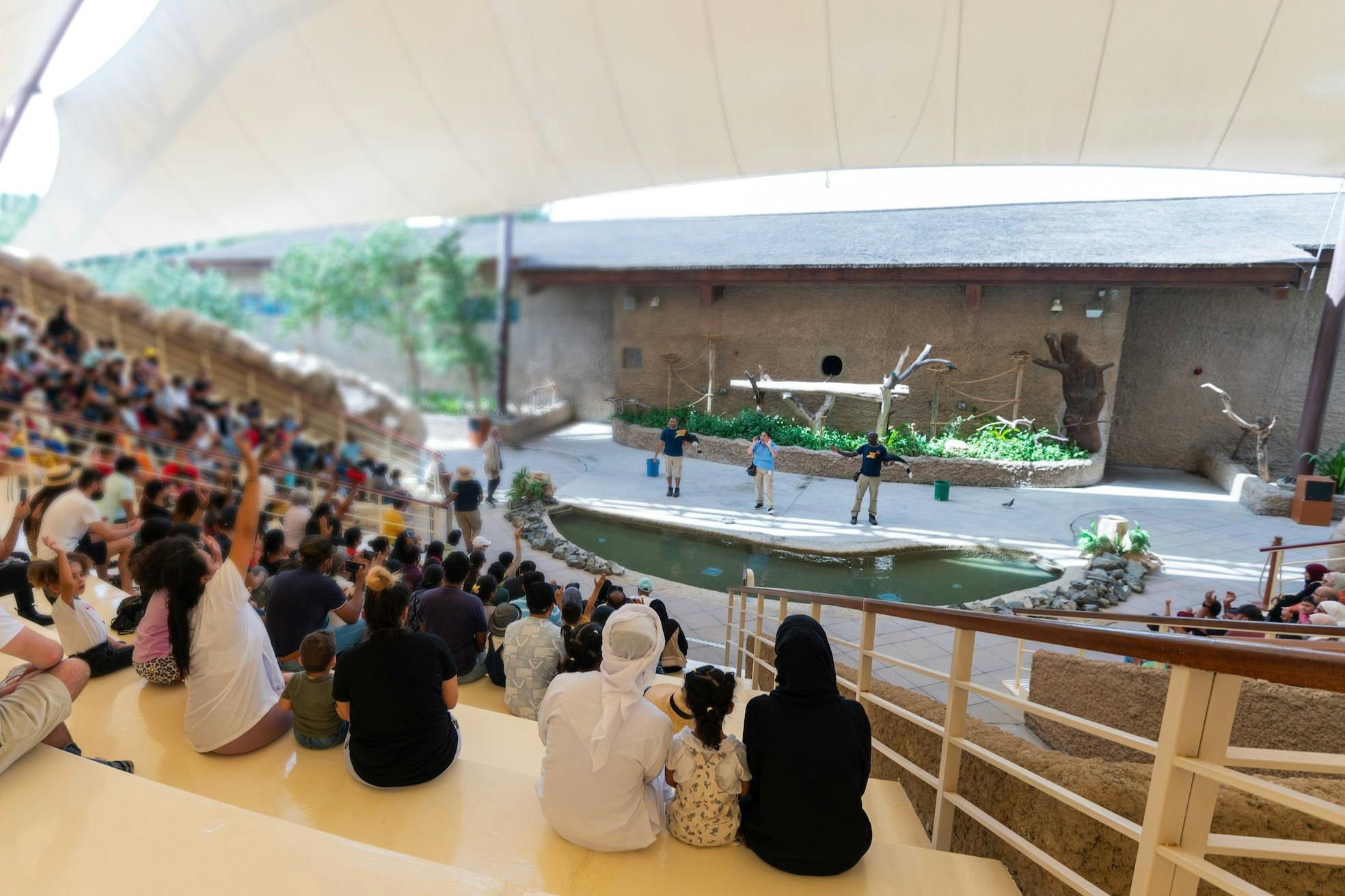A group of people watching a presentation by three individuals near a small pond, set in an outdoor amphitheater with a shaded canopy.