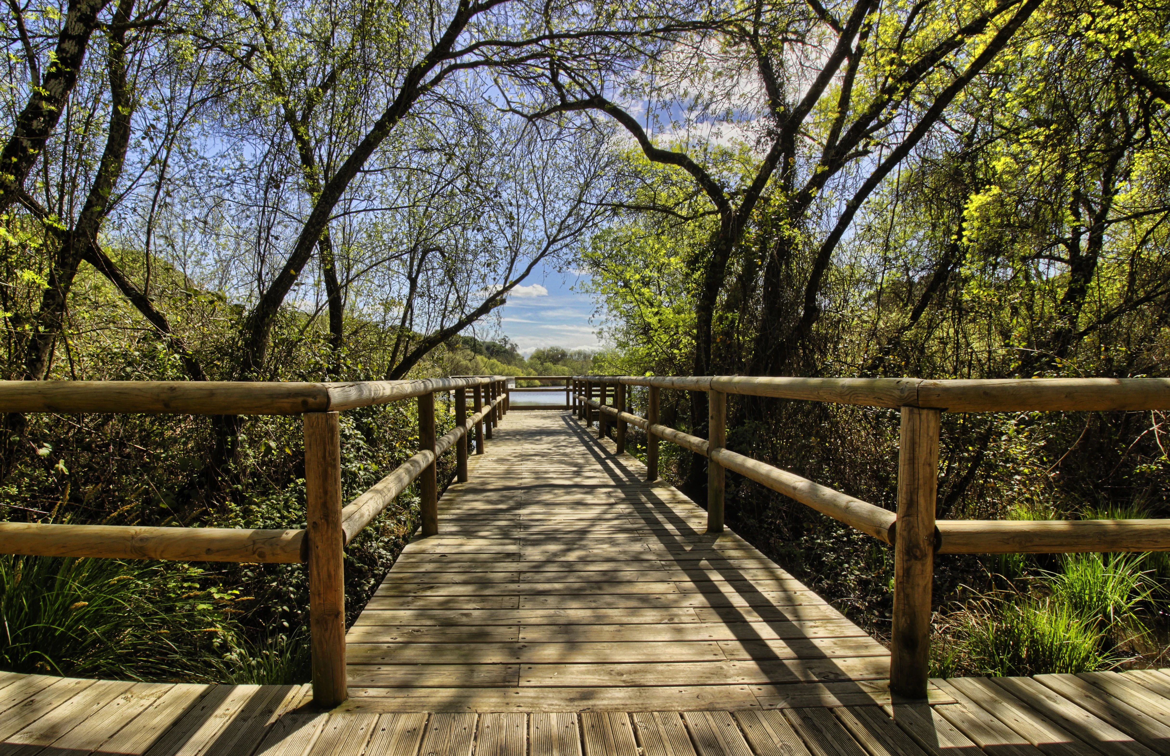 Doñana National Park & El Rocío: Day Trip from Seville